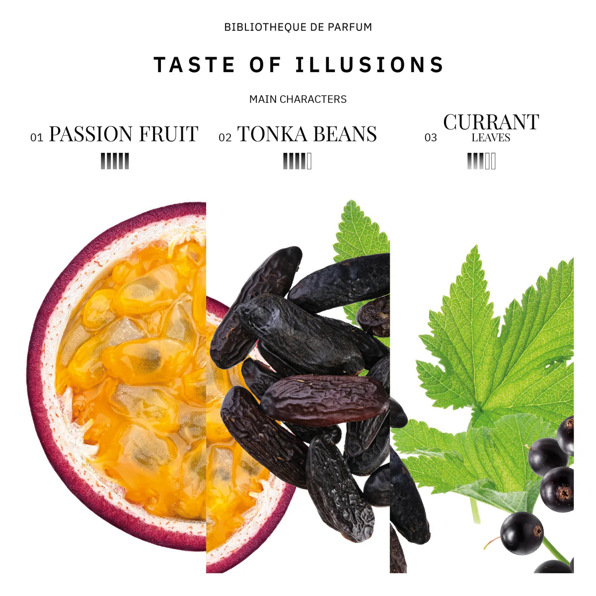 BIBLIOTHEQUE DE PARFUM DISCOVERY SET SWEET STORIES 5X2 ML