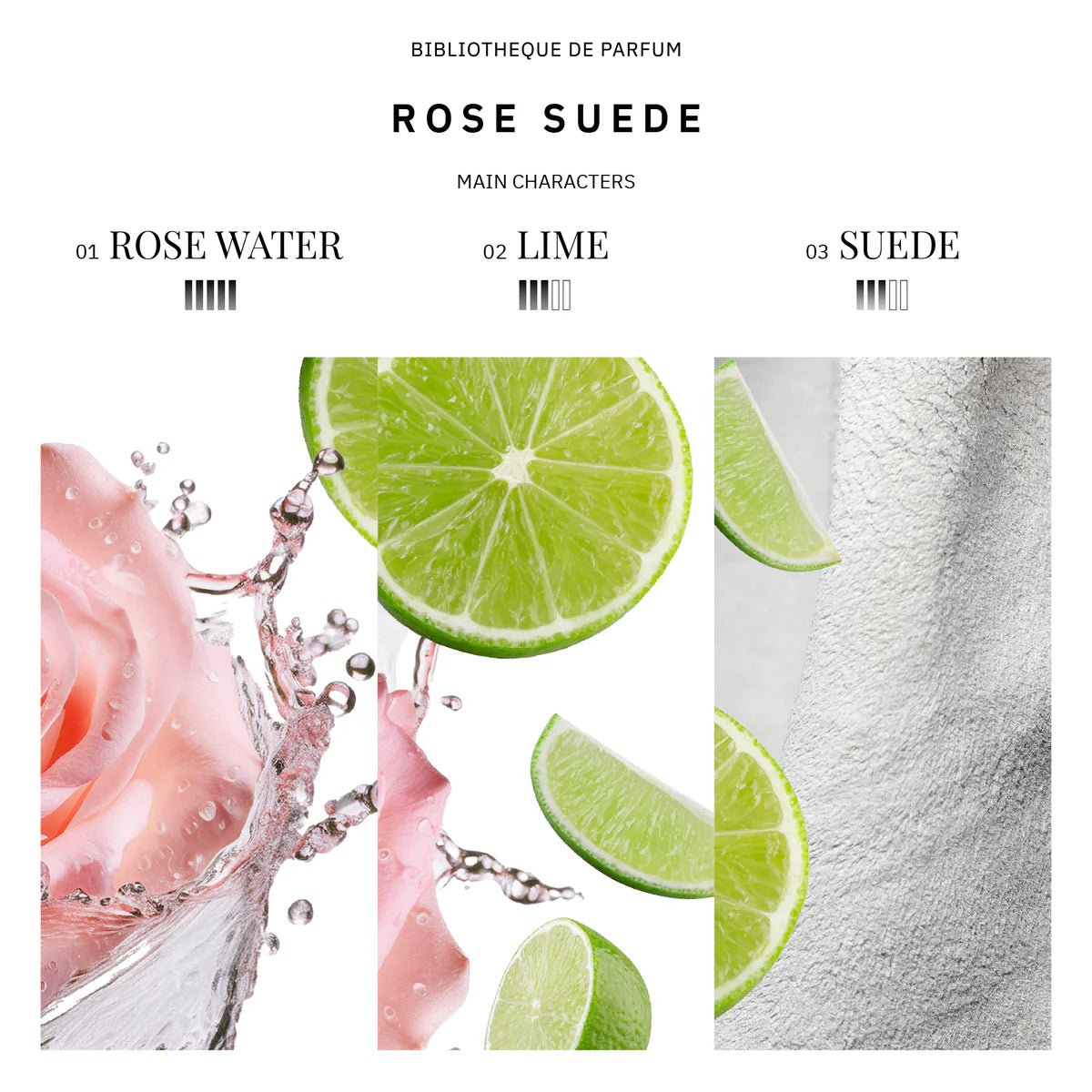 DISCOVERY SET FLORALS 5X2 ML