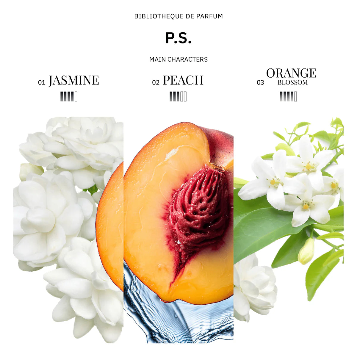 Biblioteque de Parfum P.S