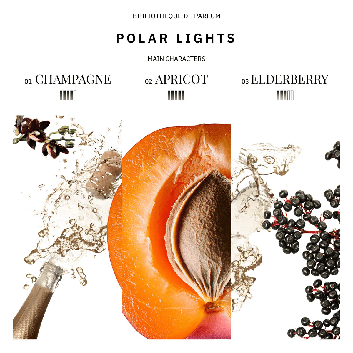 Bibliotheque de Parfum Polar Lights set