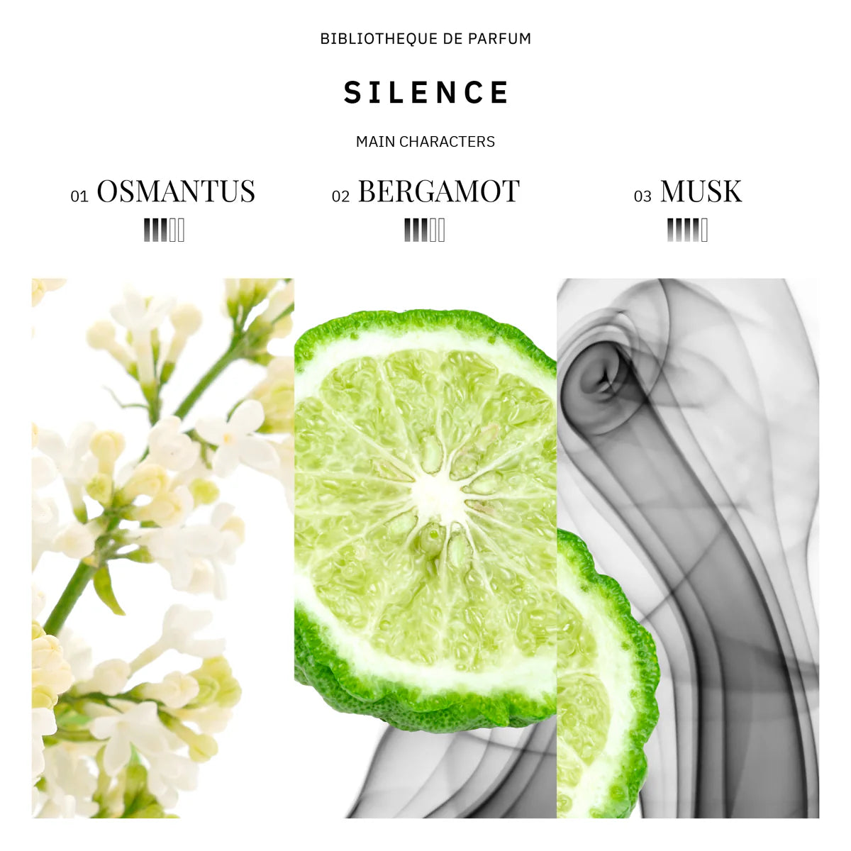 DISCOVERY SET FLORALS 5X2 ML