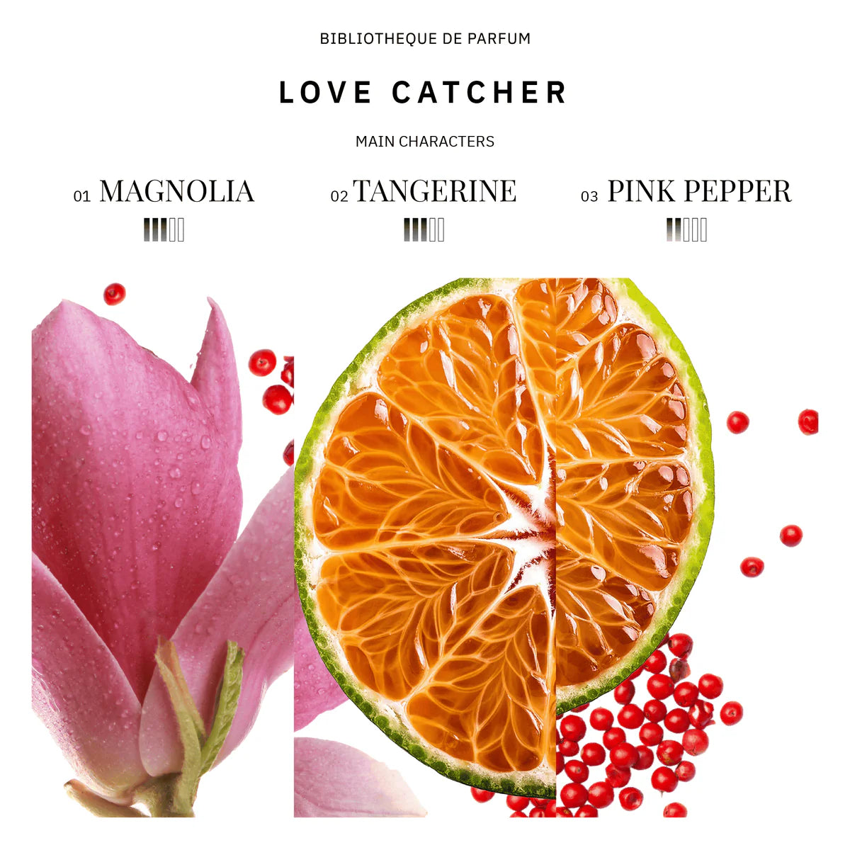 Bibliotheque de Parfum Love Catcher Noten